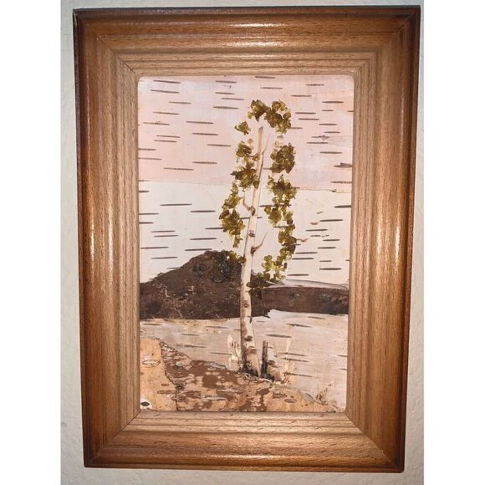 Tree Bark Mix Media Art2 7"x5" W Frame